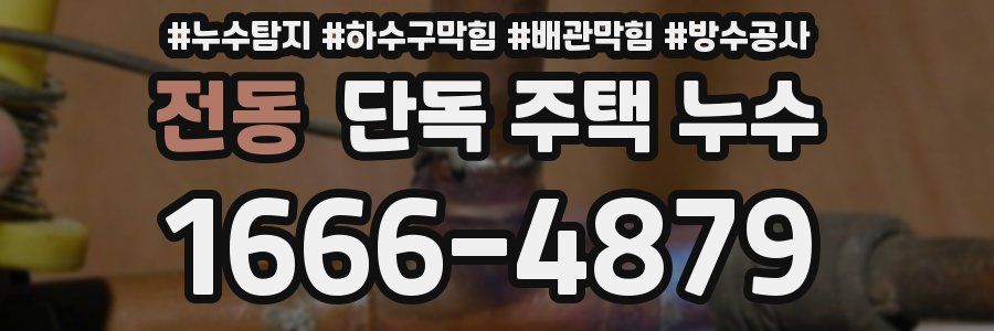 전동 단독 주택 누수