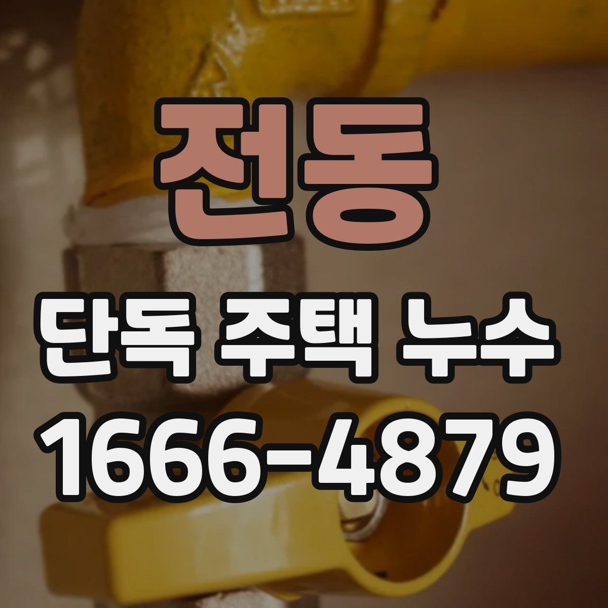 전동 단독 주택 누수