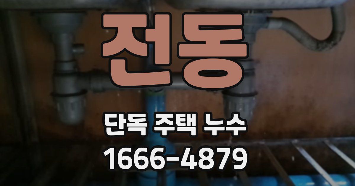 전동 단독 주택 누수