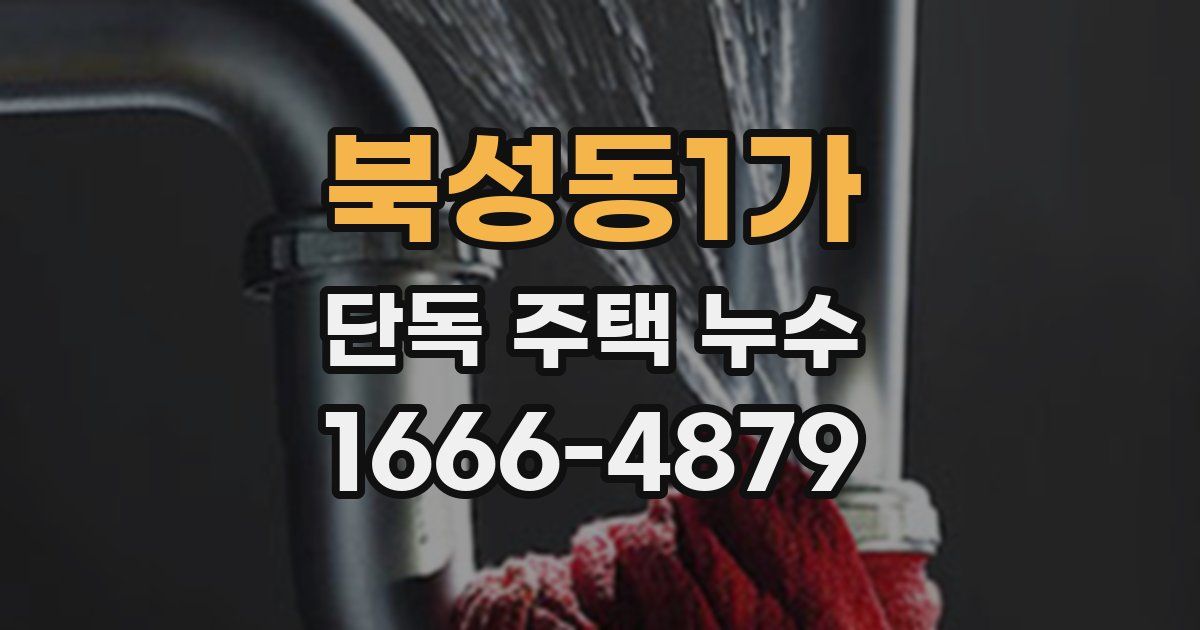북성동1가 단독 주택 누수