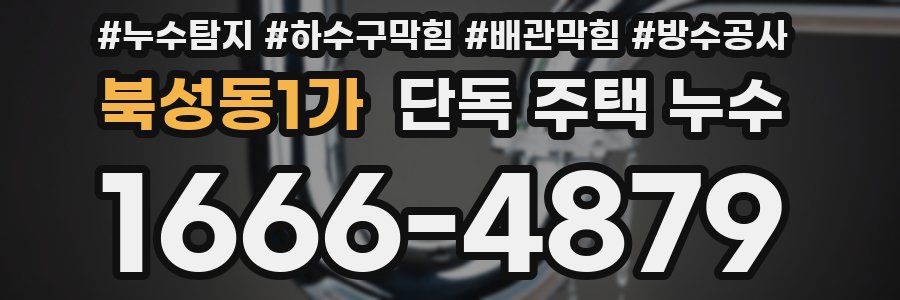 북성동1가 단독 주택 누수