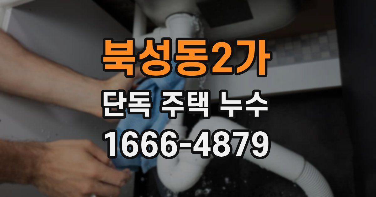북성동2가 단독 주택 누수