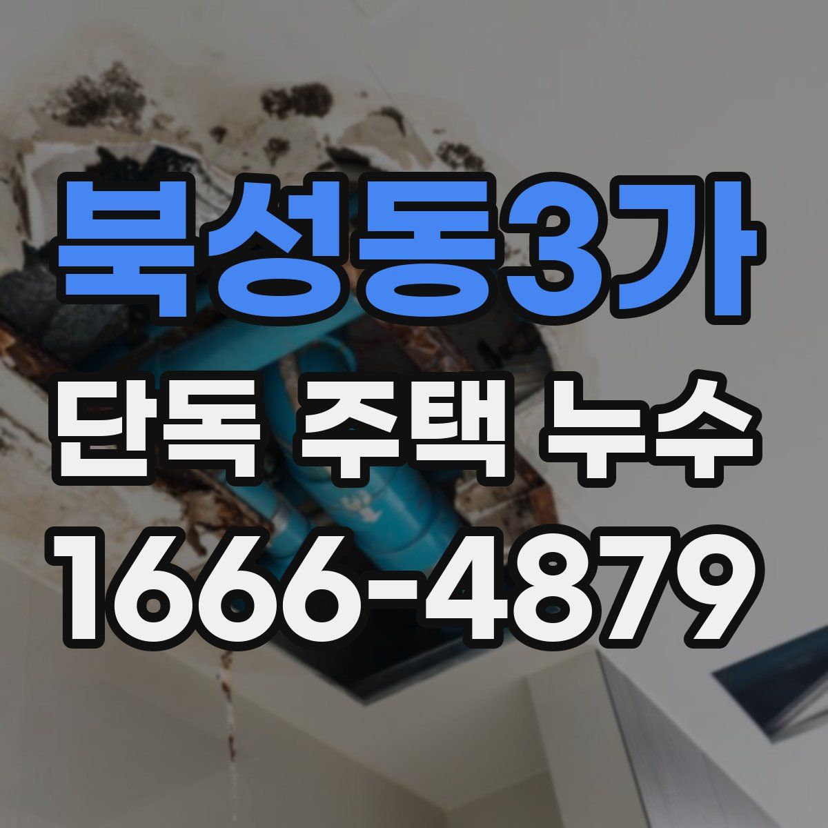 북성동3가 단독 주택 누수