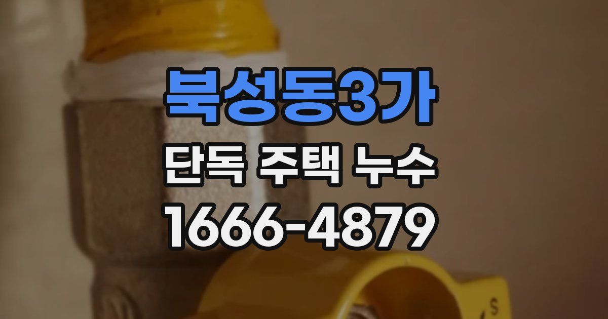 북성동3가 단독 주택 누수