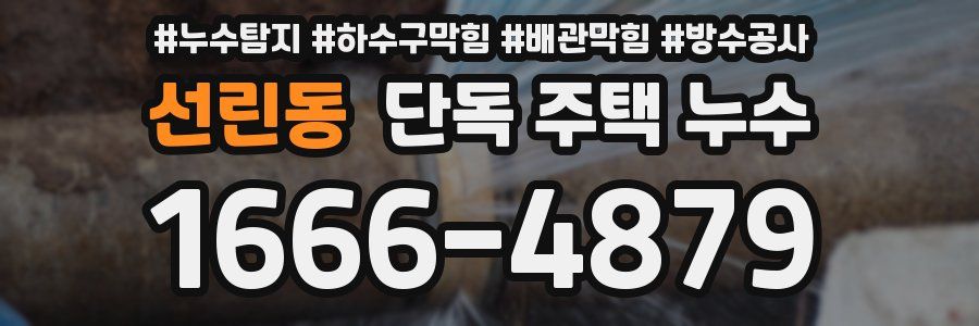 선린동 단독 주택 누수