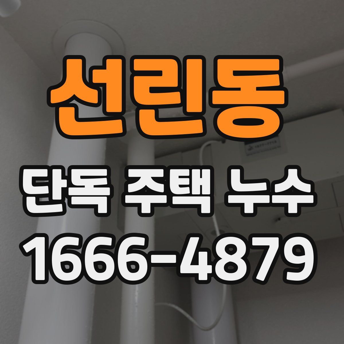 선린동 단독 주택 누수