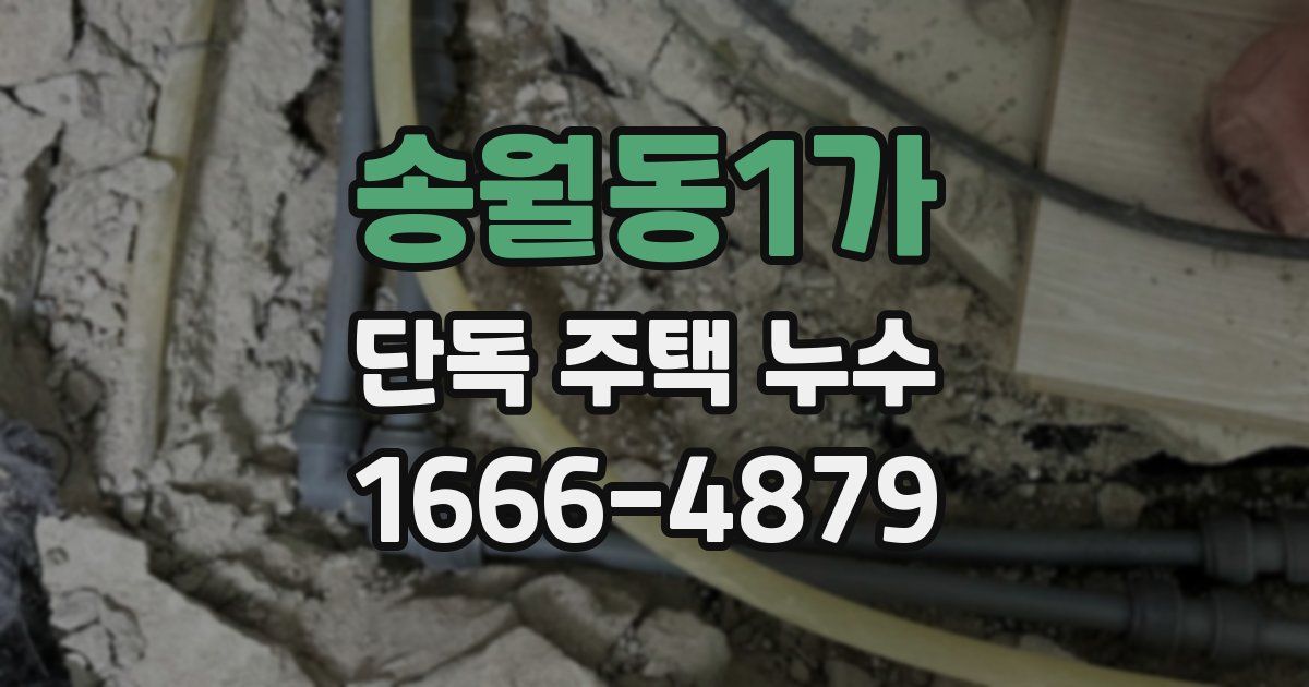 송월동1가 단독 주택 누수
