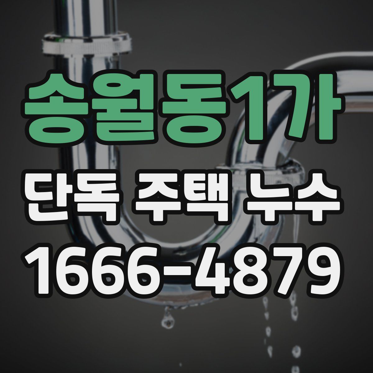 송월동1가 단독 주택 누수