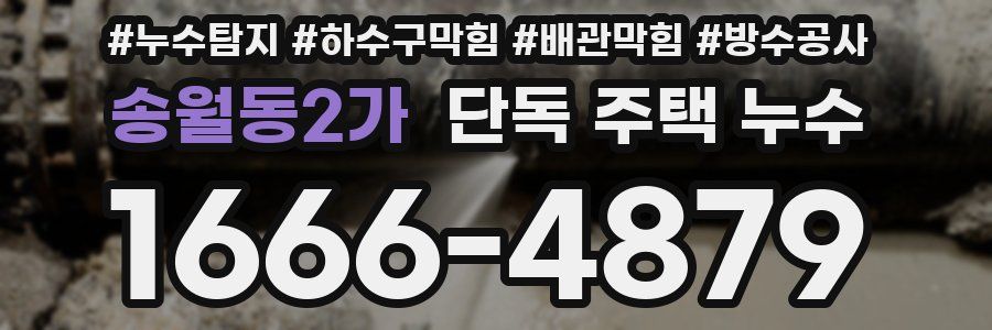송월동2가 단독 주택 누수