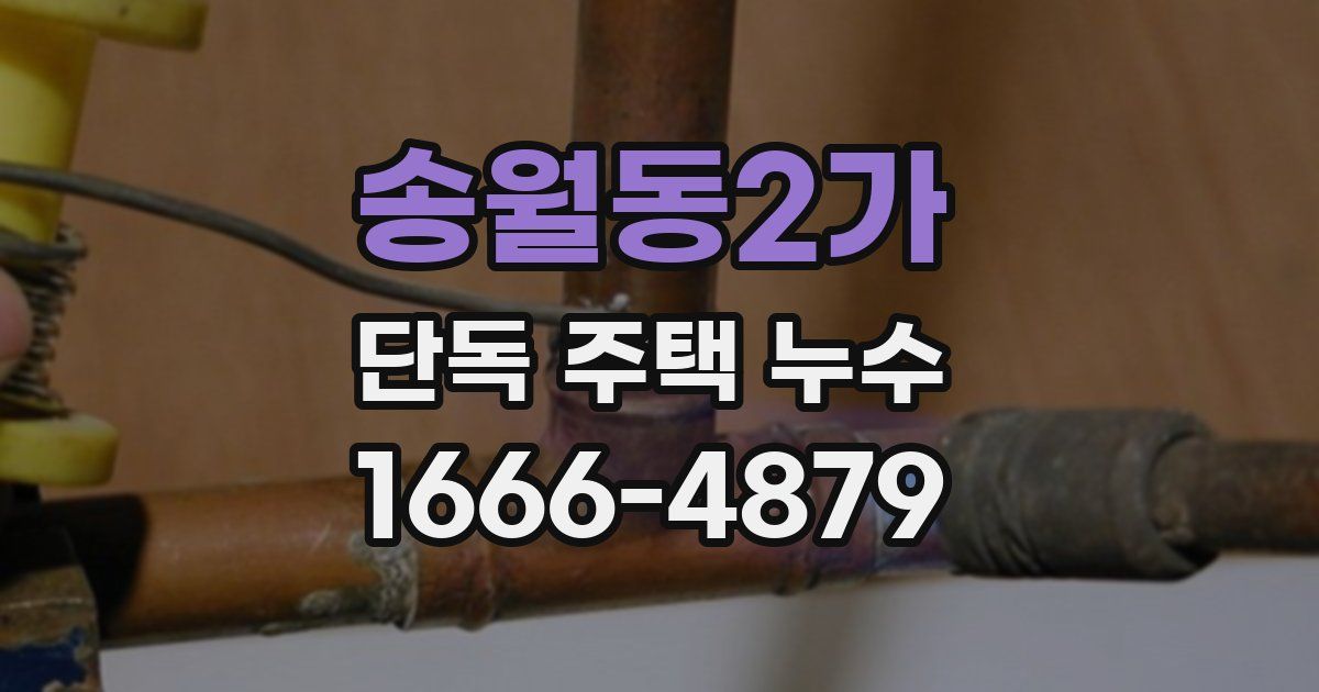 송월동2가 단독 주택 누수