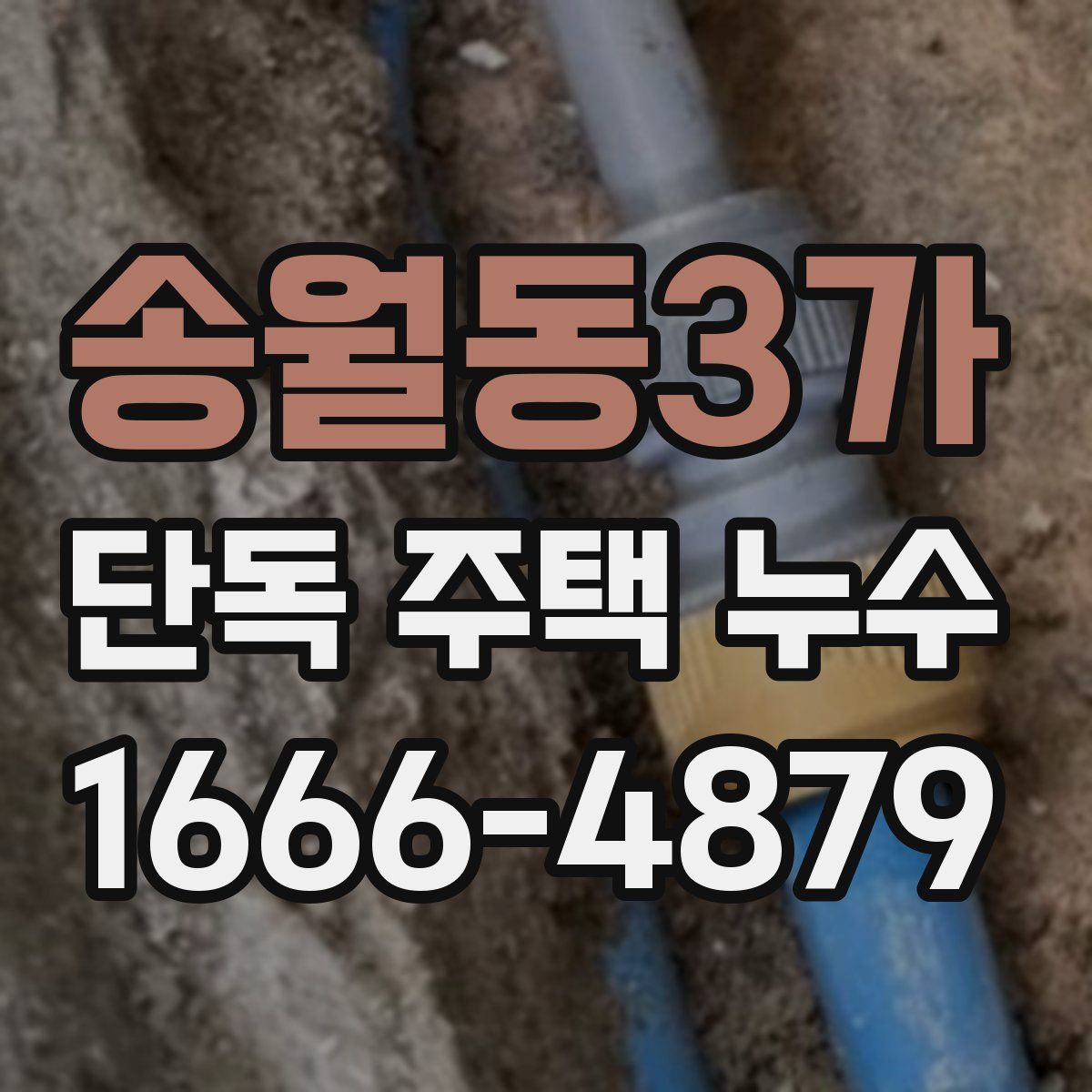 송월동3가 단독 주택 누수