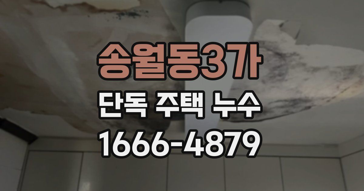 송월동3가 단독 주택 누수