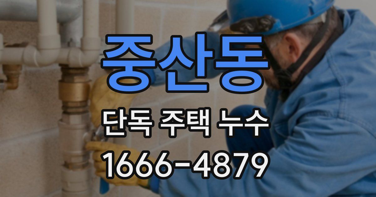 중산동 단독 주택 누수