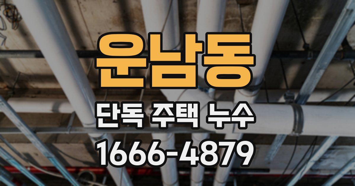 운남동 단독 주택 누수