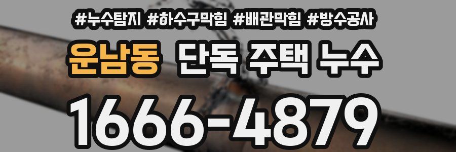 운남동 단독 주택 누수