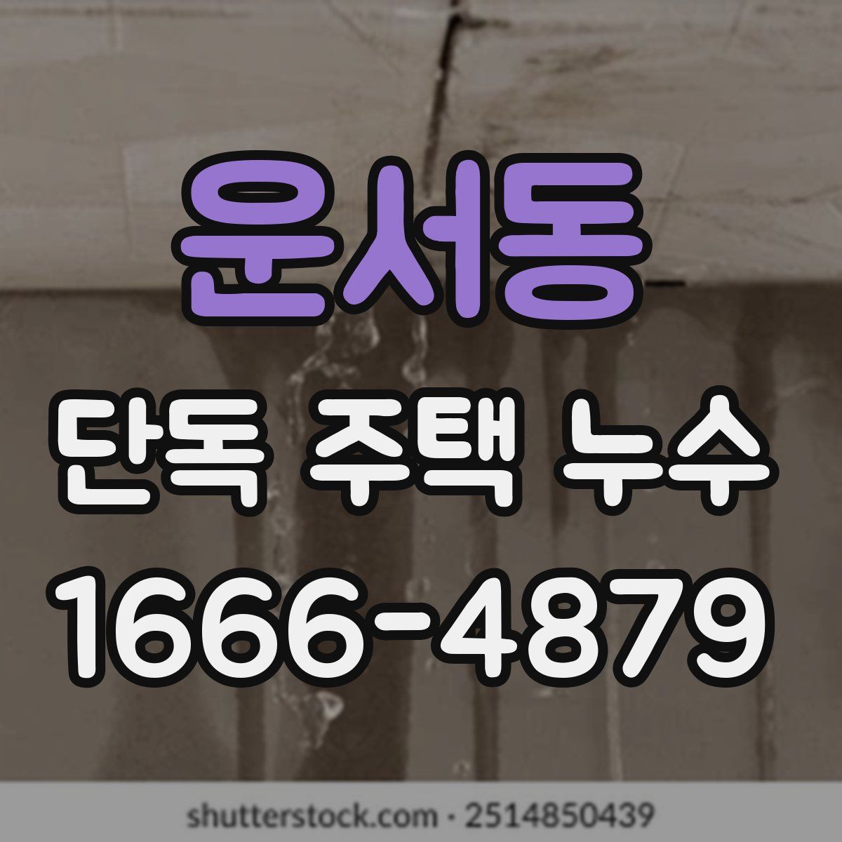 운서동 단독 주택 누수