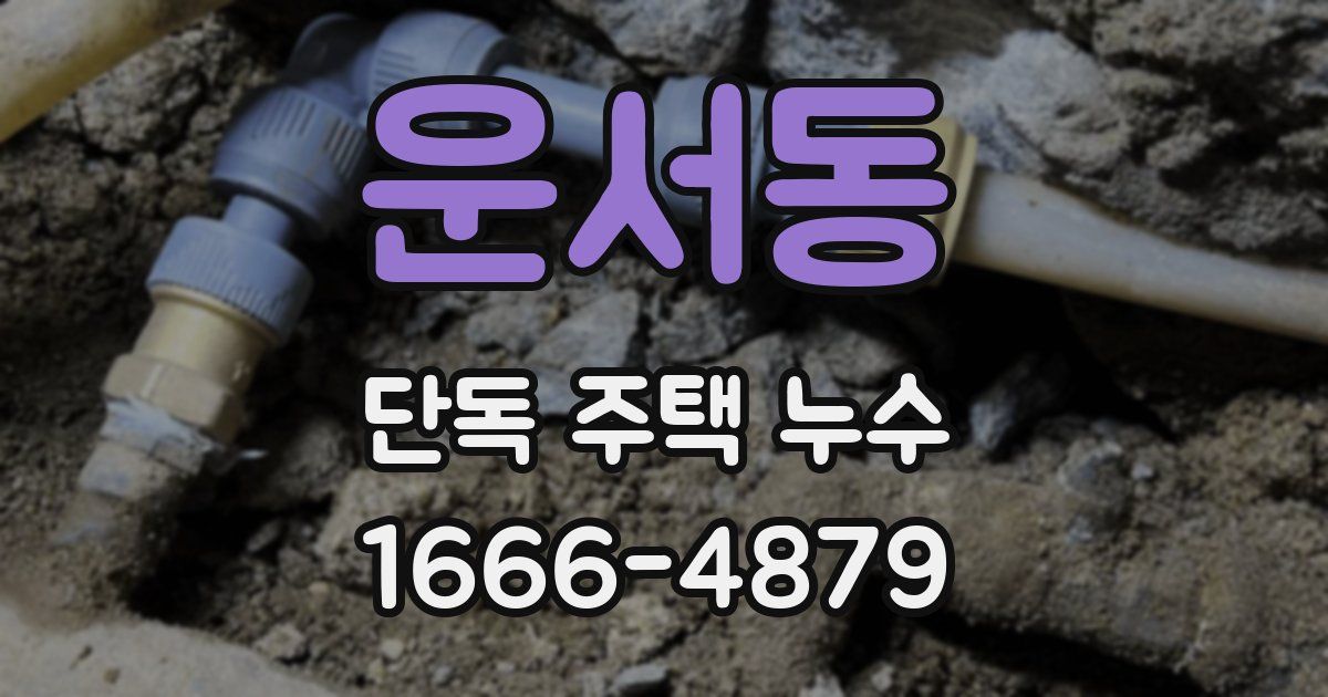 운서동 단독 주택 누수