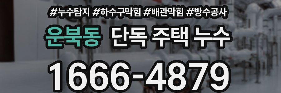 운북동 단독 주택 누수
