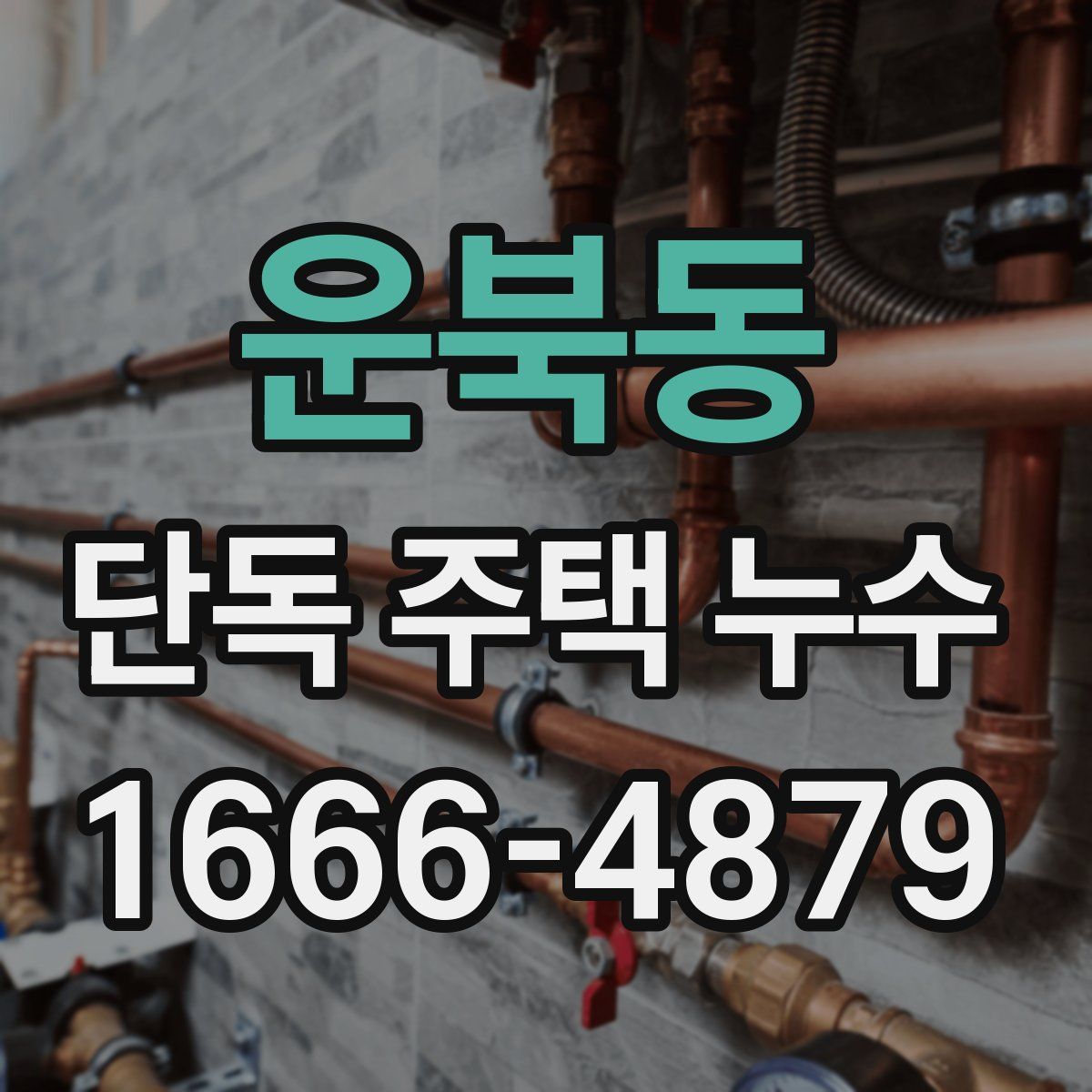 운북동 단독 주택 누수