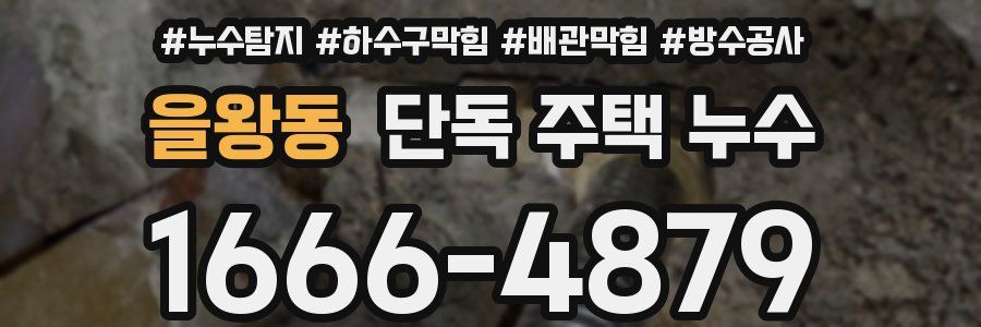 을왕동 단독 주택 누수