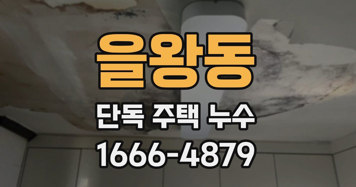 을왕동 단독 주택 누수