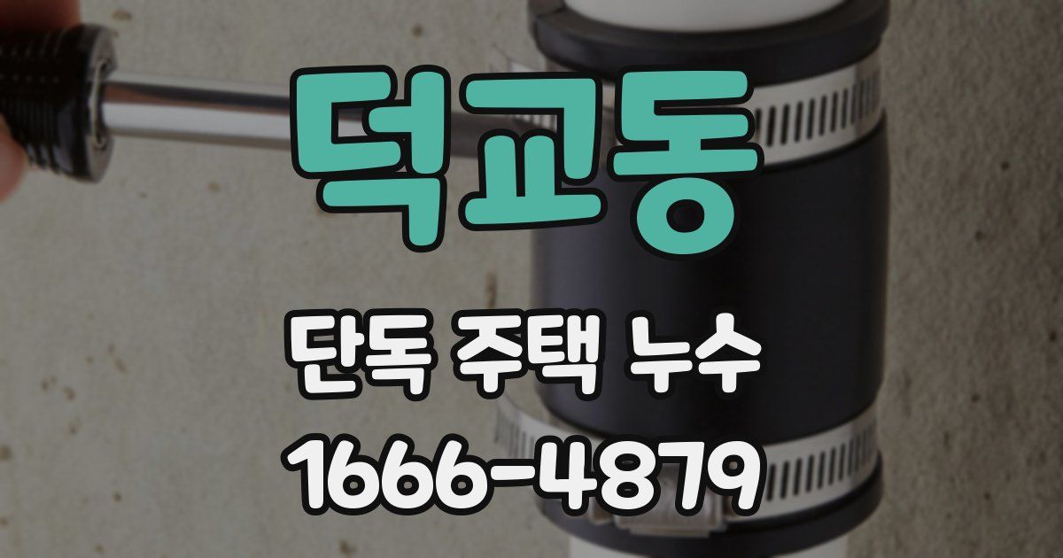 덕교동 단독 주택 누수