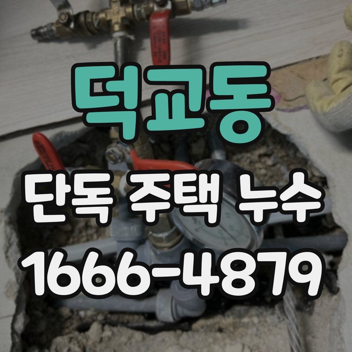 덕교동 단독 주택 누수