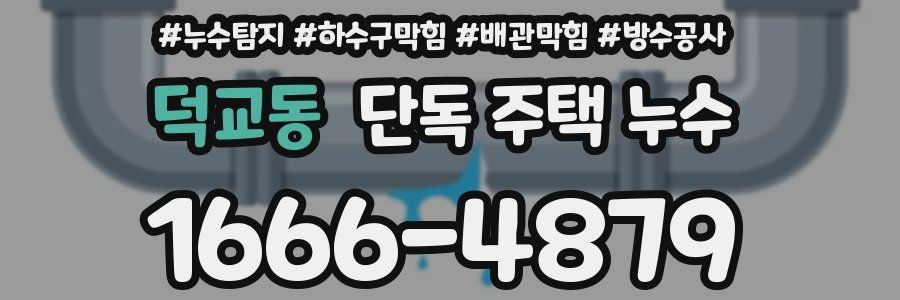 덕교동 단독 주택 누수