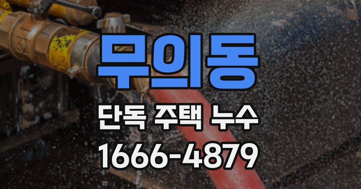 무의동 단독 주택 누수