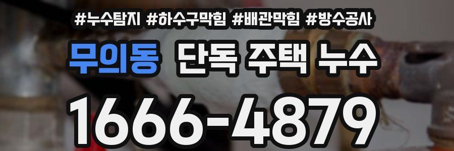 무의동 단독 주택 누수