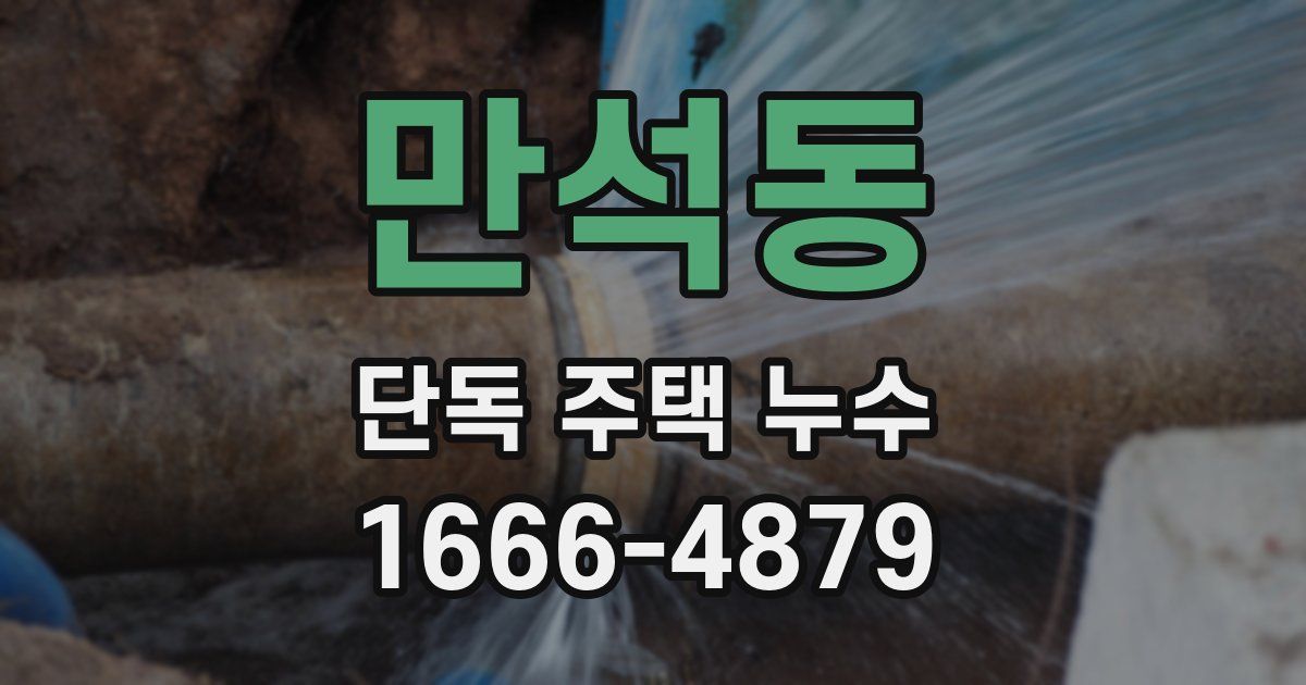 만석동 단독 주택 누수
