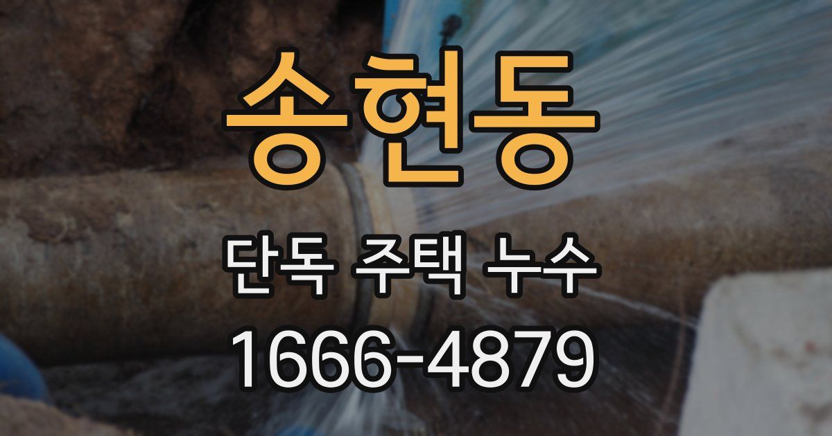 송현동 단독 주택 누수
