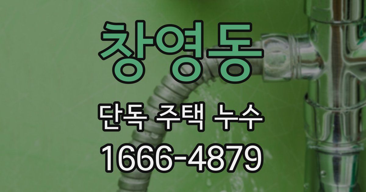 창영동 단독 주택 누수