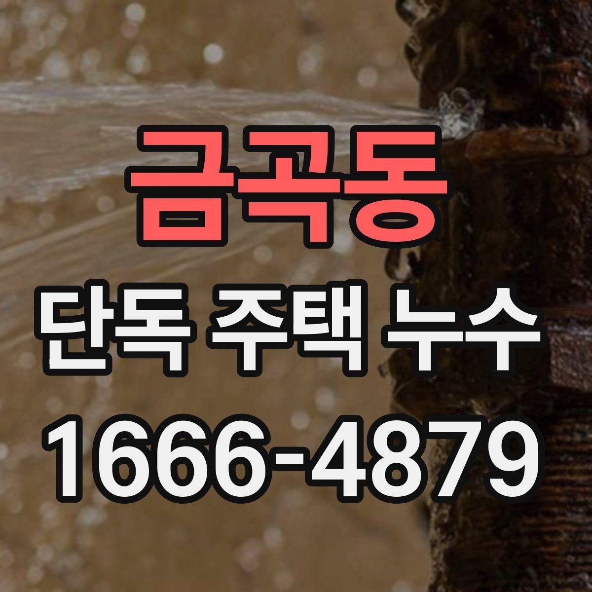 금곡동 단독 주택 누수 후 마감재 손상 확인법