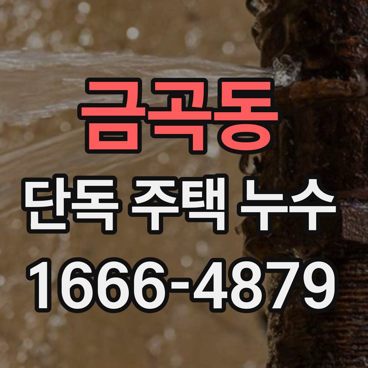 금곡동 단독 주택 누수