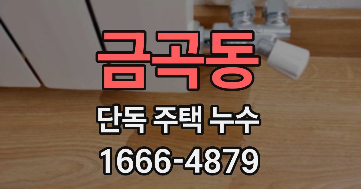 금곡동 단독 주택 누수
