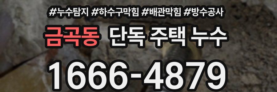 금곡동 단독 주택 누수