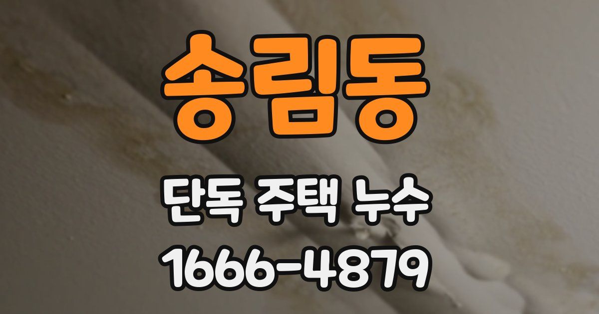 송림동 단독 주택 누수