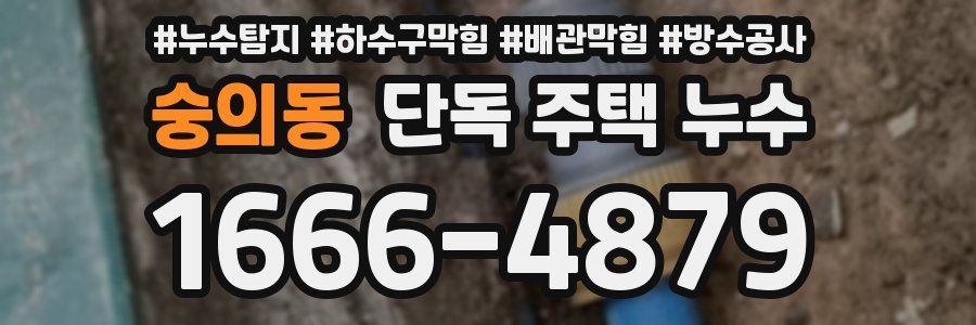 숭의동 단독 주택 누수