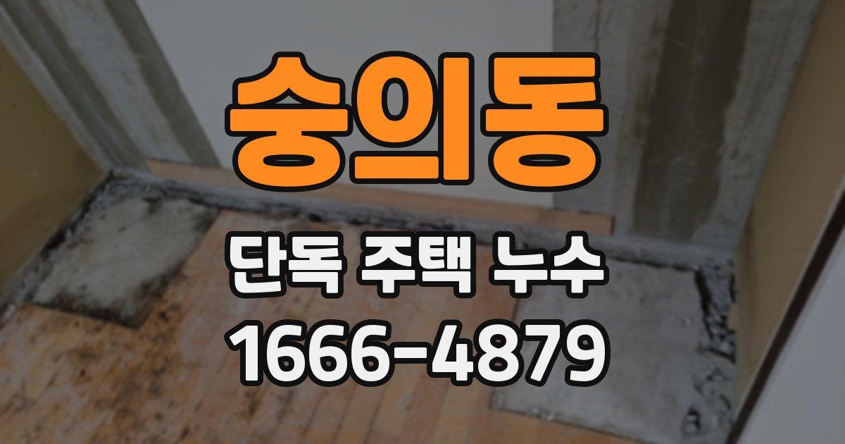 숭의동 단독 주택 누수