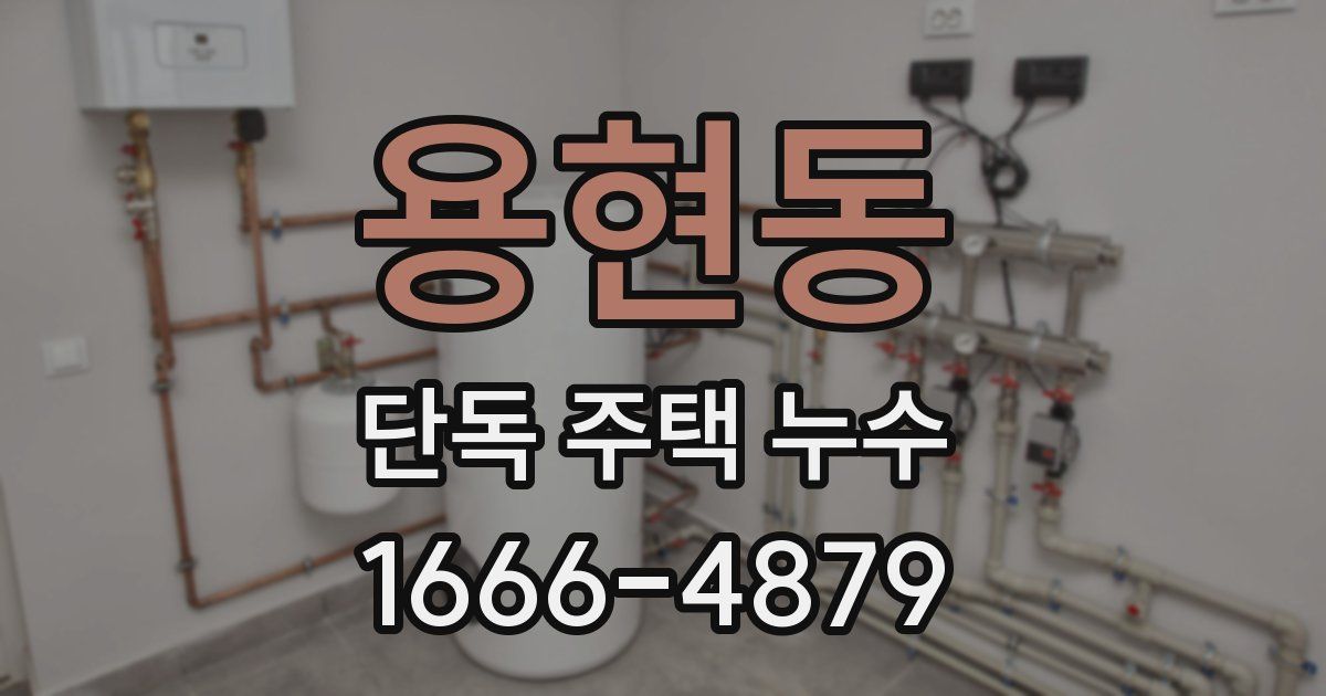 용현동 단독 주택 누수