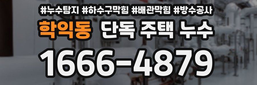 학익동 단독 주택 누수