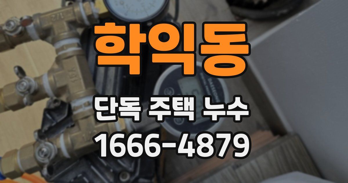 학익동 단독 주택 누수