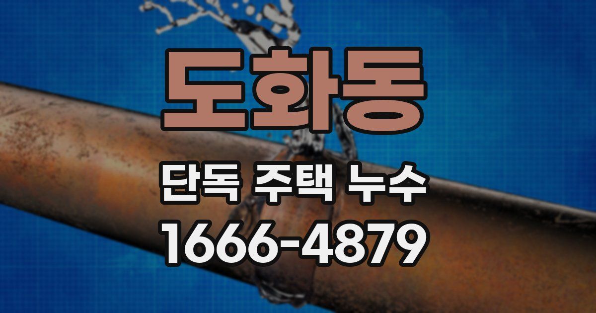 도화동 단독 주택 누수