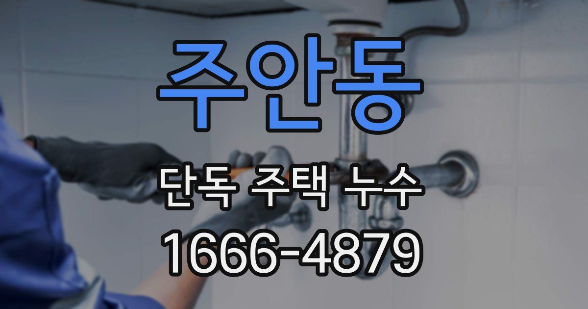 주안동 단독 주택 누수