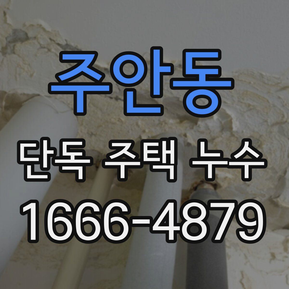 주안동 단독 주택 누수