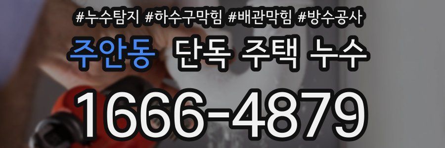 주안동 단독 주택 누수