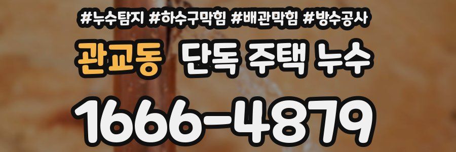 관교동 단독 주택 누수