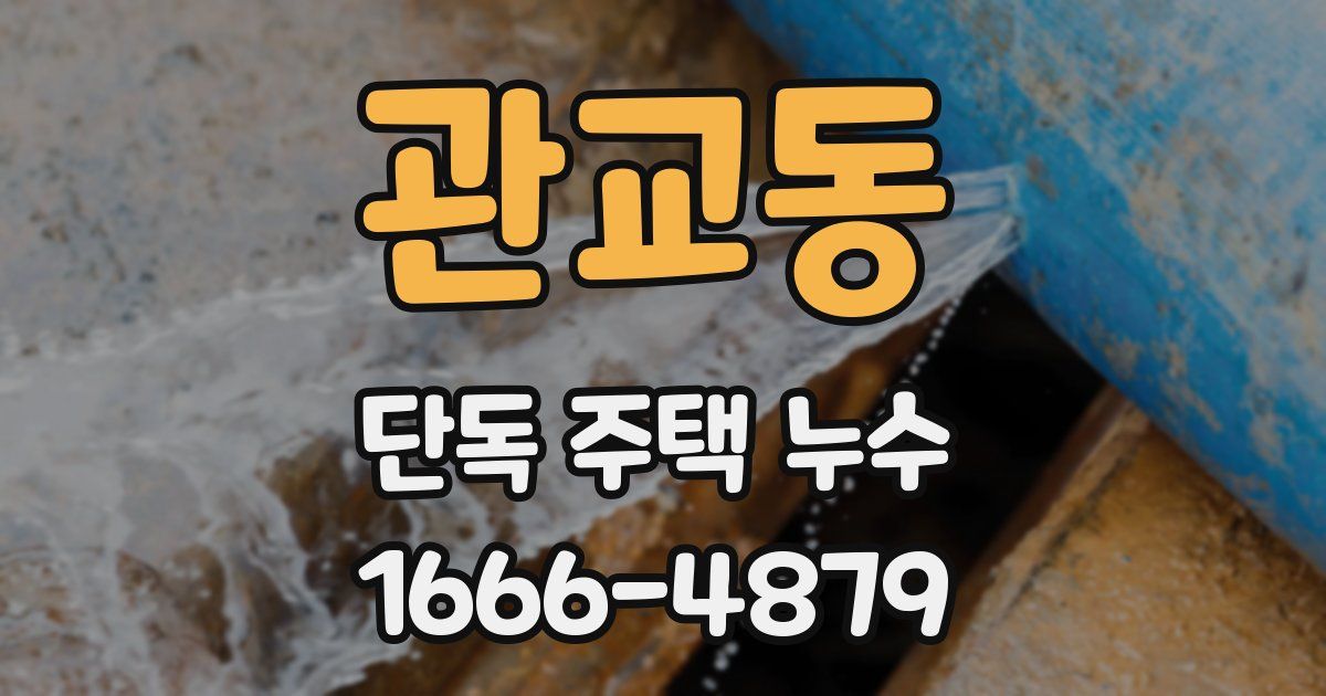 관교동 단독 주택 누수