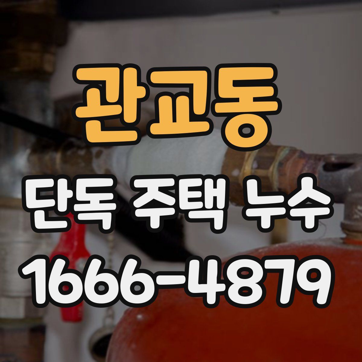 관교동 단독 주택 누수